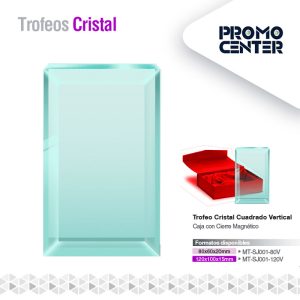 TROFEO CRISTAL CUADRADO VERTICAL 120X100X15MM