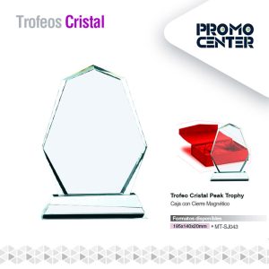 TROFEO CRISTAL PEAK TROPHY TROPHY N°1 195X140X20MM