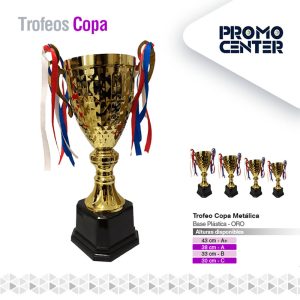 COPA METALICA SUDANIA