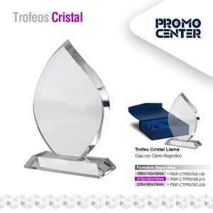 TROFEO CRISTAL LLAMA
